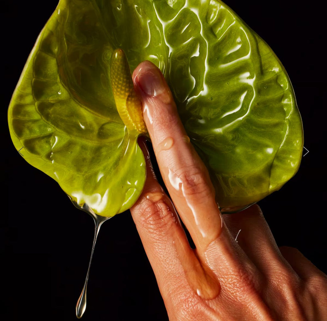 Clit Stimulation 101: Everything You Need to Know for Maximum Pleasure featured image by ViveVibe