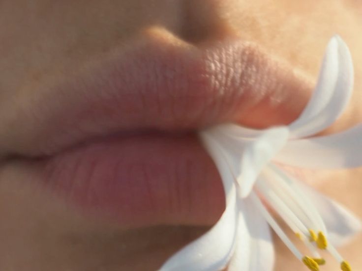 The Art of Oral Sex in 2025 Slow, Wet, and Absolutely Devastating featured image by ViveVibe