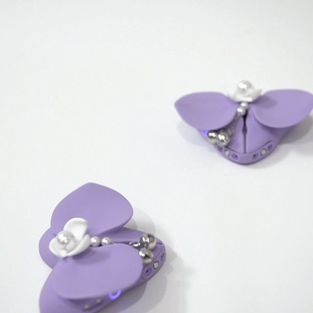 BloomButterfly