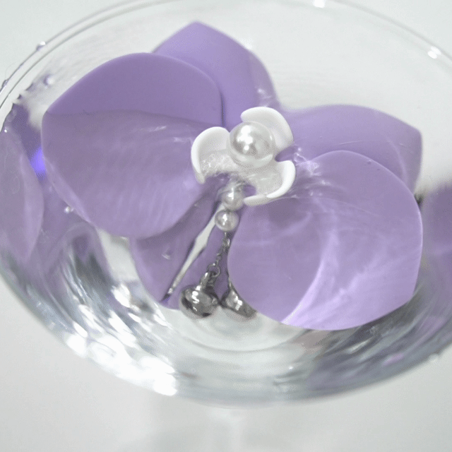 BloomButterfly