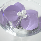 BloomButterfly