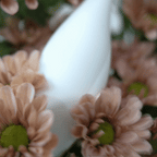 BloomDrop