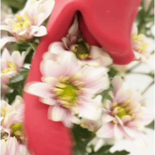 ScarletKiss