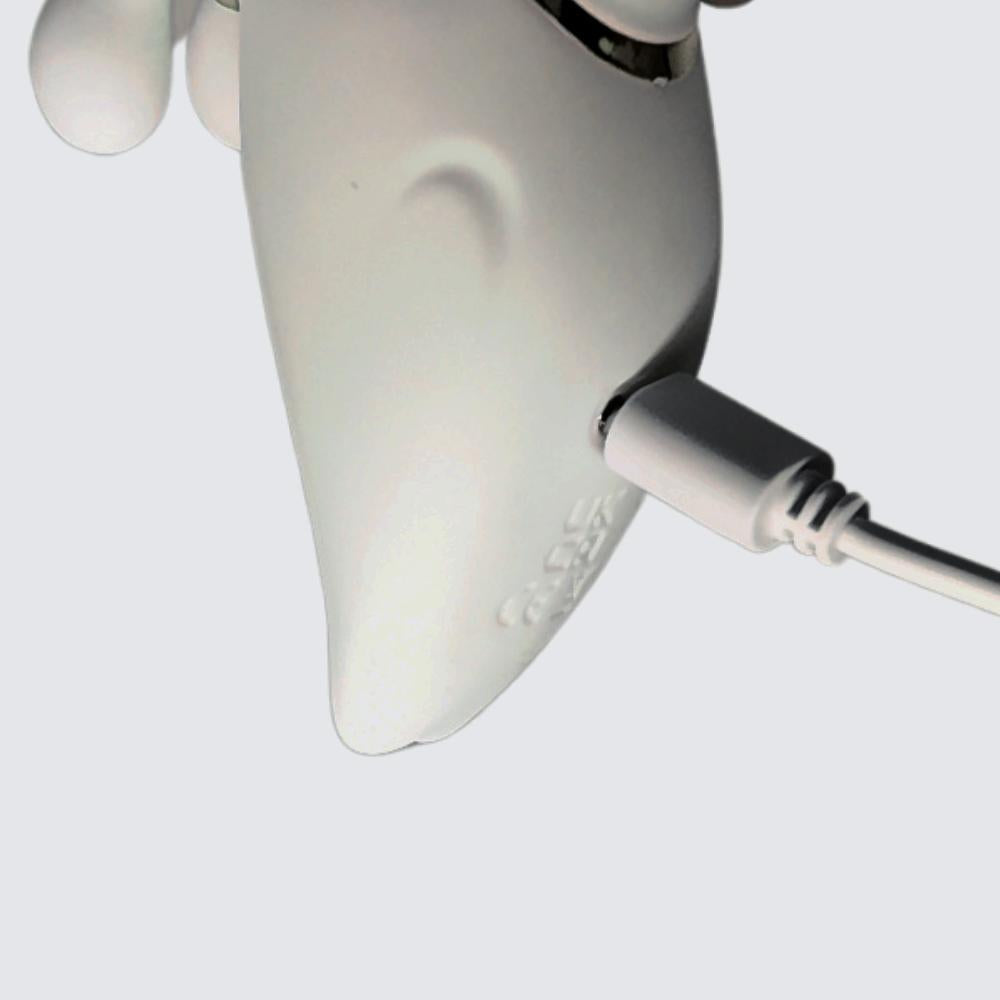 SplitRabbit